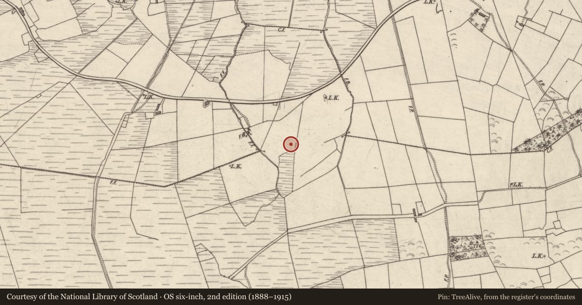 Ordnance Survey six-inch map, 2nd edition (1888–1915) covering the location of Fulacht fia, Knockawinna, County Kerry, with a pin at the register's coordinates