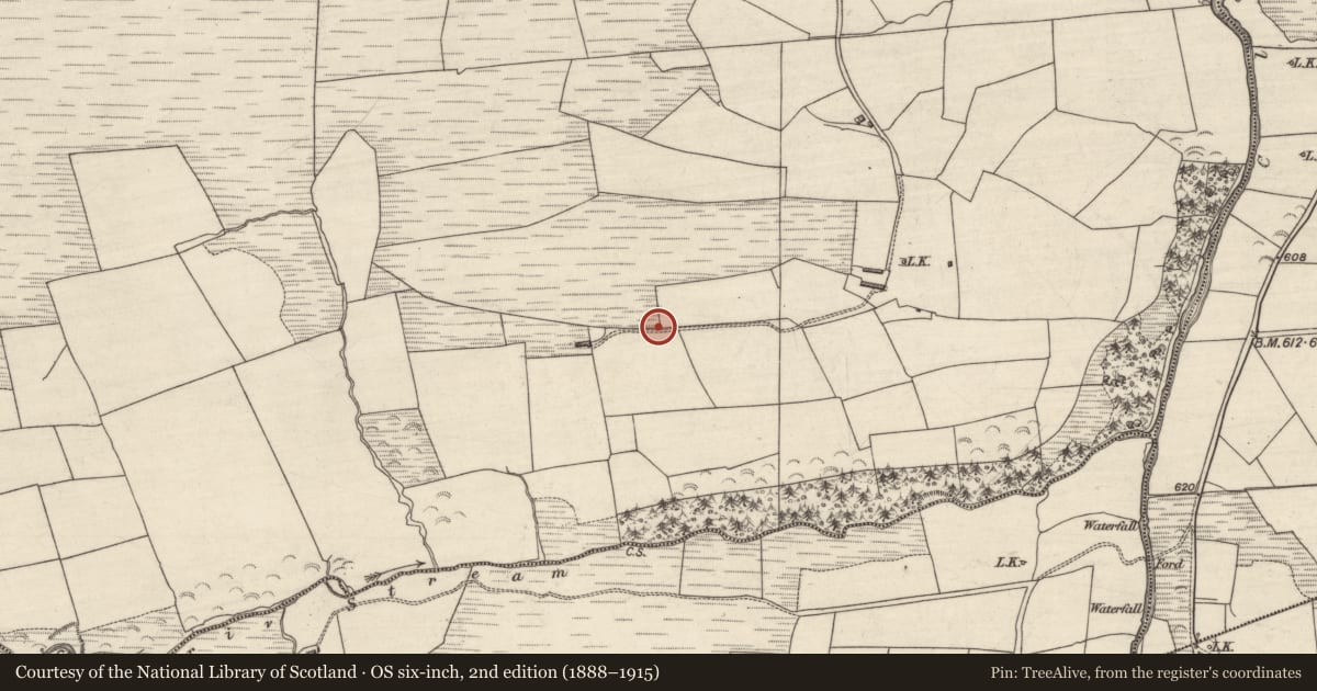 Ordnance Survey six-inch map, 2nd edition (1888–1915) covering the location of Standing stone (present location), Knocknadarriv, County Kerry, with a pin at the register's coordinates