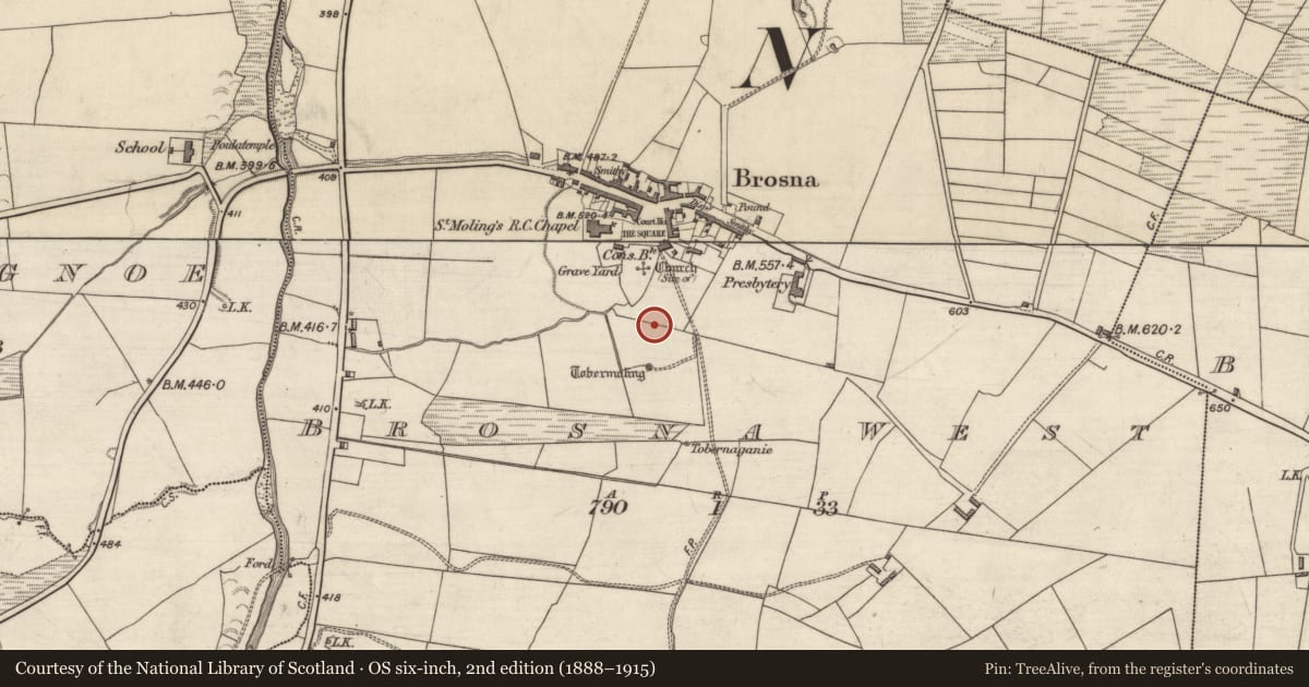 Ordnance Survey six-inch map, 2nd edition (1888–1915) covering the location of Bullaun stone, Brosna West, County Kerry, with a pin at the register's coordinates