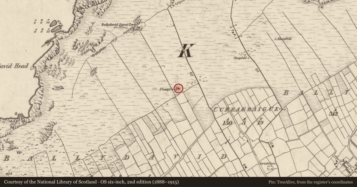 Ordnance Survey six-inch map, 2nd edition (1888–1915) covering the location of Hut site, Baile Dháith, County Kerry, with a pin at the register's coordinates