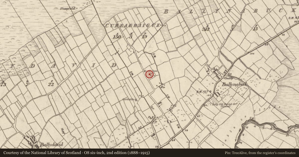 Ordnance Survey six-inch map, 2nd edition (1888–1915) covering the location of Hut site, Currach Gráige, County Kerry, with a pin at the register's coordinates