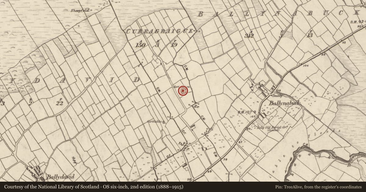 Ordnance Survey six-inch map, 2nd edition (1888–1915) covering the location of Souterrain, Currach Gráige, County Kerry, with a pin at the register's coordinates