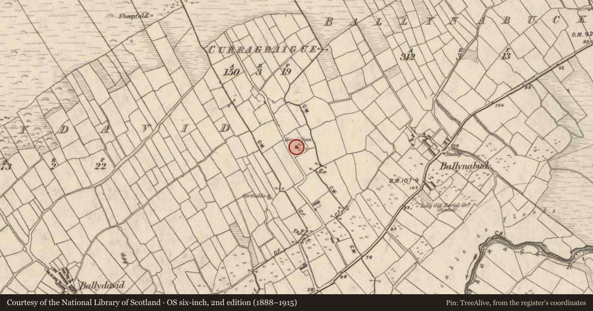 Ordnance Survey six-inch map, 2nd edition (1888–1915) covering the location of Hut site, Currach Gráige, County Kerry, with a pin at the register's coordinates