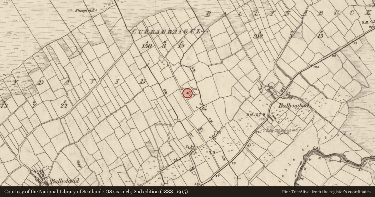 Ordnance Survey six-inch map, 2nd edition (1888–1915) covering the location of Hut site, Currach Gráige, County Kerry, with a pin at the register's coordinates