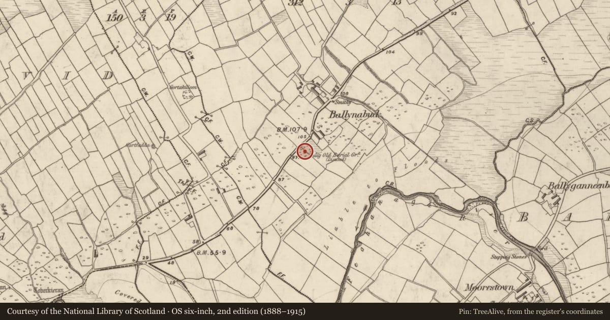 Ordnance Survey six-inch map, 2nd edition (1888–1915) covering the location of Burial ground, Baile Na Bpoc, County Kerry, with a pin at the register's coordinates