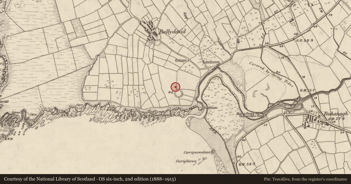 Ordnance Survey six-inch map, 2nd edition (1888–1915) covering the location of Cross-inscribed stone, Baile Dháith, County Kerry, with a pin at the register's coordinates