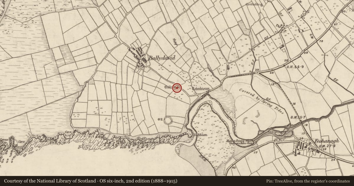 Ordnance Survey six-inch map, 2nd edition (1888–1915) covering the location of Standing stone, Baile Dháith, County Kerry, with a pin at the register's coordinates