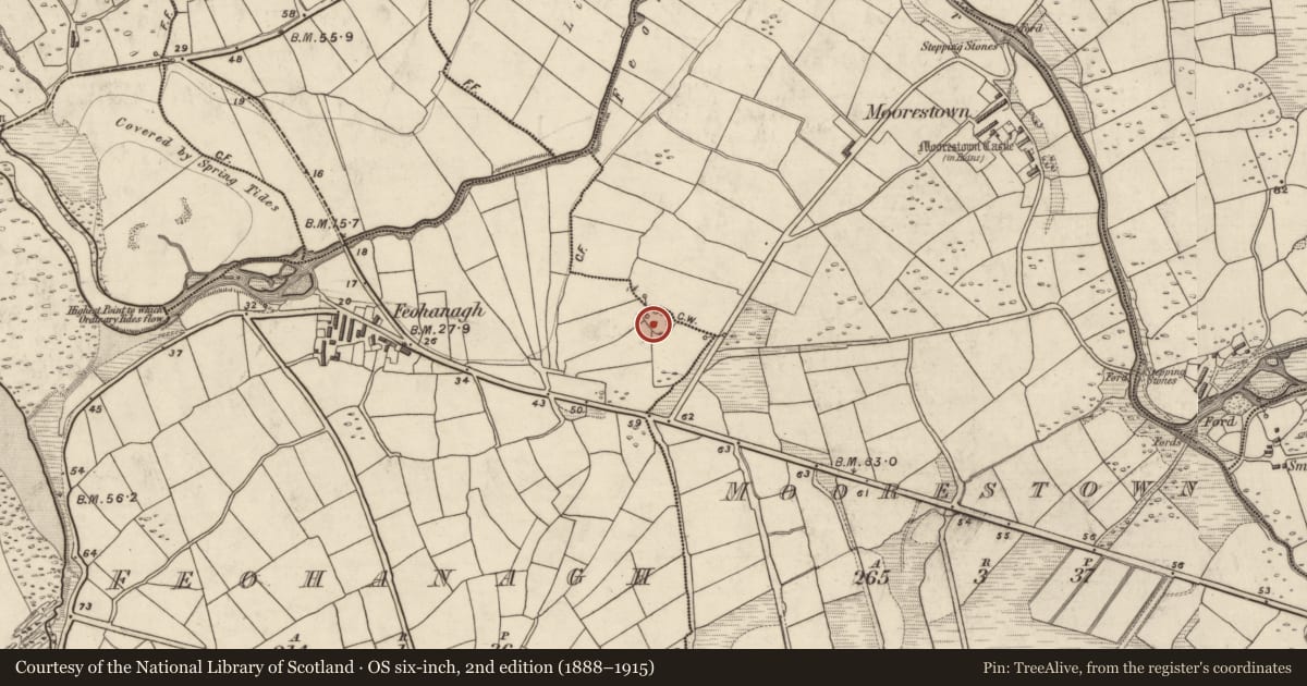 Ordnance Survey six-inch map, 2nd edition (1888–1915) covering the location of Ringfort - rath, An Fheothanach, Baile An Mhúraigh, County Kerry, with a pin at the register's coordinates