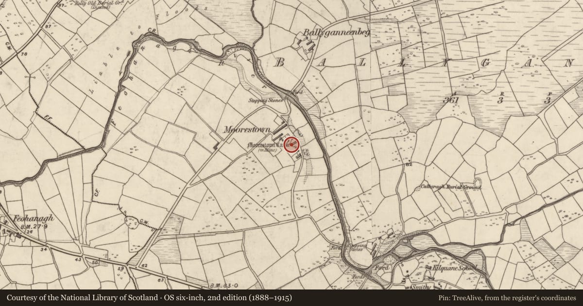Ordnance Survey six-inch map, 2nd edition (1888–1915) covering the location of Castle - unclassified, Baile An Mhúraigh, County Kerry, with a pin at the register's coordinates