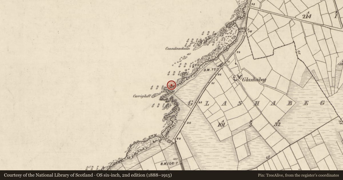 Ordnance Survey six-inch map, 2nd edition (1888–1915) covering the location of Midden, An Ghlaise Bheag, County Kerry, with a pin at the register's coordinates