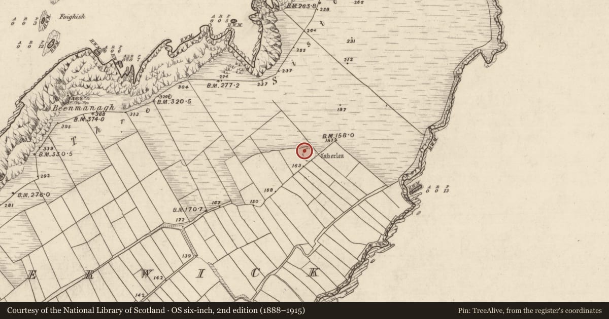 Ordnance Survey six-inch map, 2nd edition (1888–1915) covering the location of Souterrain, Ard Na Caithne, County Kerry, with a pin at the register's coordinates