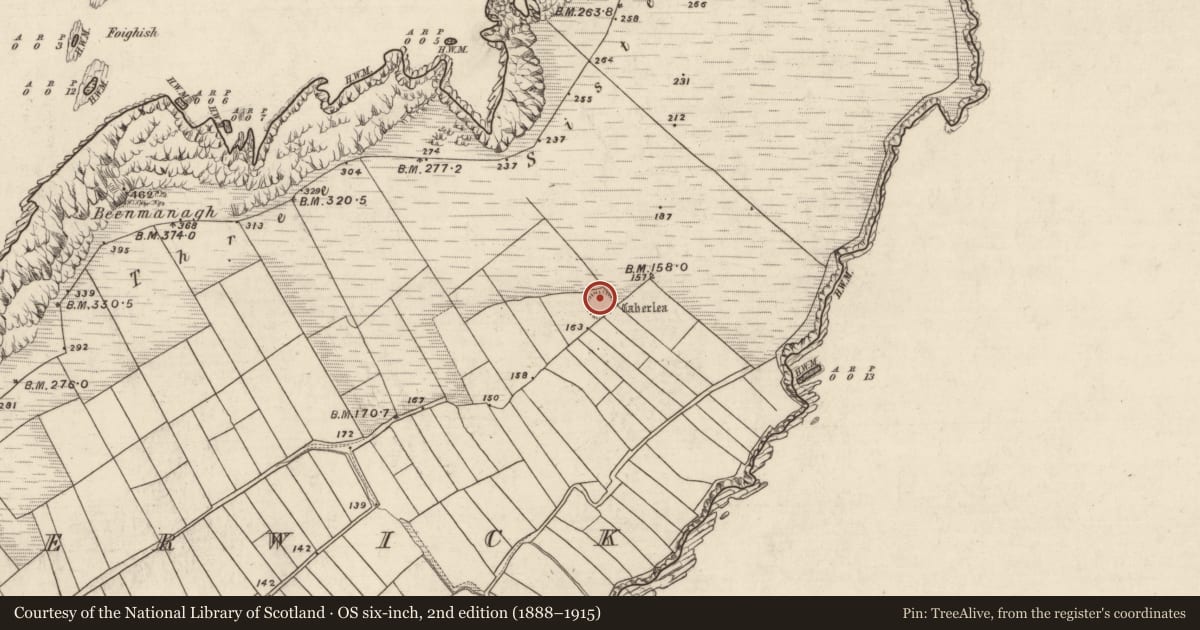 Ordnance Survey six-inch map, 2nd edition (1888–1915) covering the location of Hut site, Ard Na Caithne, County Kerry, with a pin at the register's coordinates