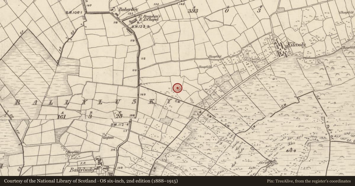 Ordnance Survey six-inch map, 2nd edition (1888–1915) covering the location of Standing stone, Cill Chúile, County Kerry, with a pin at the register's coordinates