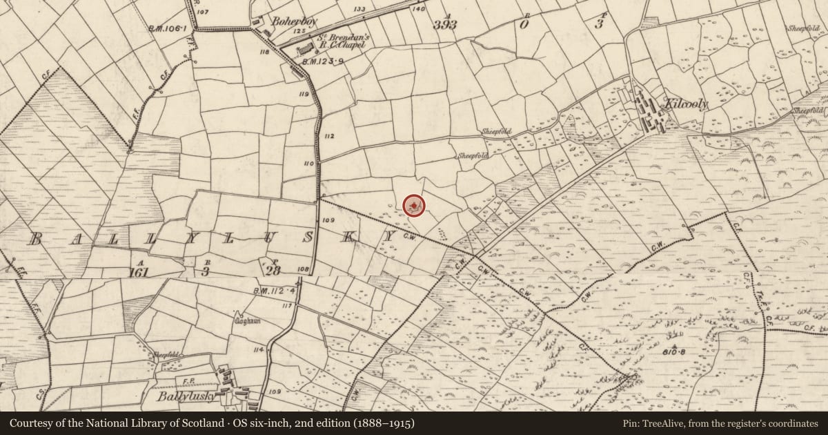 Ordnance Survey six-inch map, 2nd edition (1888–1915) covering the location of Hut site, Cill Chúile, County Kerry, with a pin at the register's coordinates
