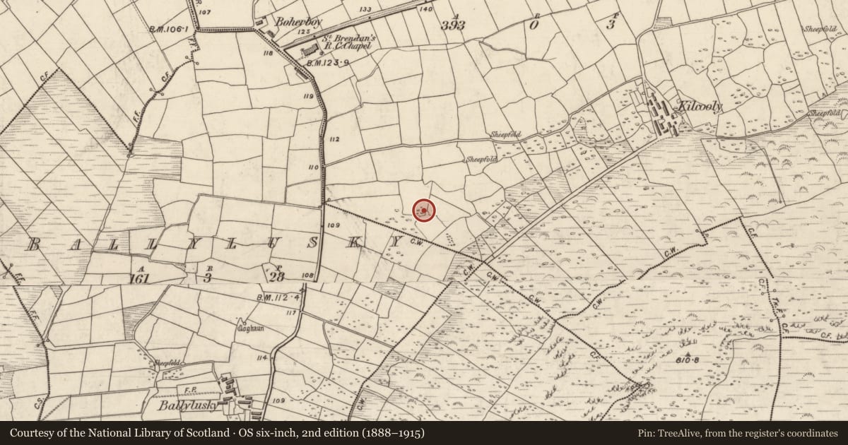 Ordnance Survey six-inch map, 2nd edition (1888–1915) covering the location of Hut site, Cill Chúile, County Kerry, with a pin at the register's coordinates