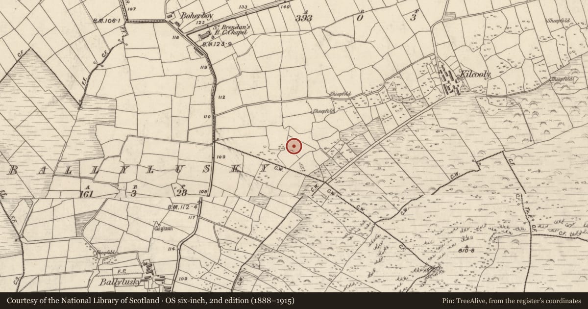 Ordnance Survey six-inch map, 2nd edition (1888–1915) covering the location of Hut site, Cill Chúile, County Kerry, with a pin at the register's coordinates