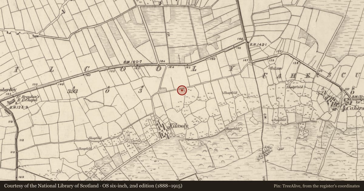 Ordnance Survey six-inch map, 2nd edition (1888–1915) covering the location of Hut site, Cill Chúile, County Kerry, with a pin at the register's coordinates