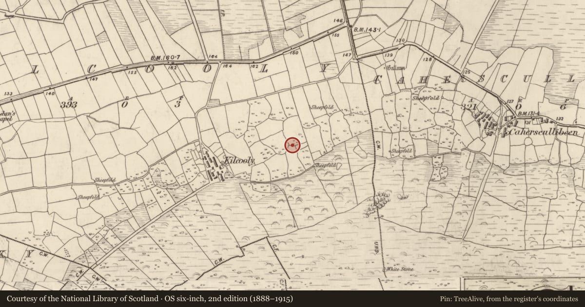 Ordnance Survey six-inch map, 2nd edition (1888–1915) covering the location of Hut site, Cill Chúile, County Kerry, with a pin at the register's coordinates