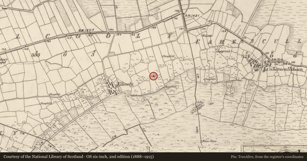 Ordnance Survey six-inch map, 2nd edition (1888–1915) covering the location of Hut site, Cill Chúile, County Kerry, with a pin at the register's coordinates