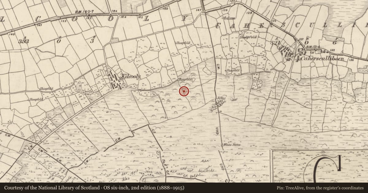 Ordnance Survey six-inch map, 2nd edition (1888–1915) covering the location of Souterrain, Cill Chúile, County Kerry, with a pin at the register's coordinates