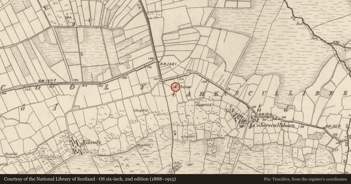 Ordnance Survey six-inch map, 2nd edition (1888–1915) covering the location of Standing stone, Cathair Scoilbín, County Kerry, with a pin at the register's coordinates