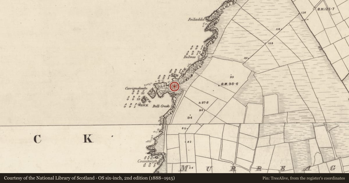 Ordnance Survey six-inch map, 2nd edition (1888–1915) covering the location of Promontory fort - coastal, An Mhuiríoch (TC Cill Maoilchéadar), County Kerry, with a pin at the register's coordinates
