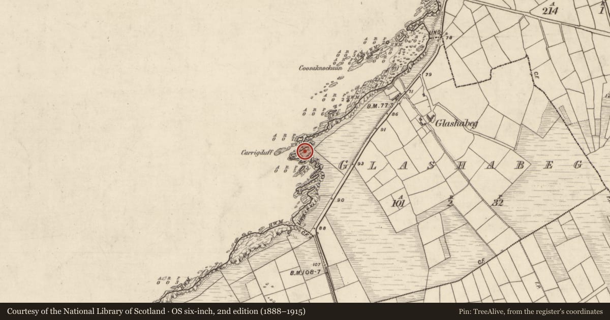 Ordnance Survey six-inch map, 2nd edition (1888–1915) covering the location of Promontory fort - coastal, An Ghlaise Bheag, County Kerry, with a pin at the register's coordinates