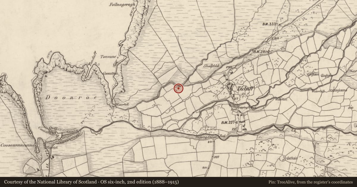 Ordnance Survey six-inch map, 2nd edition (1888–1915) covering the location of Hut site, Baile Na Habha (TC Cill Chuáin), County Kerry, with a pin at the register's coordinates