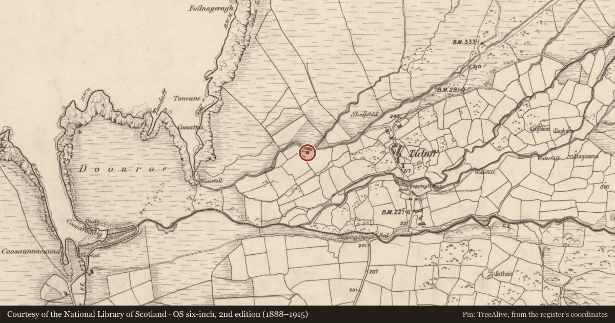 Ordnance Survey six-inch map, 2nd edition (1888–1915) covering the location of Hut site, Baile Na Habha (TC Cill Chuáin), County Kerry, with a pin at the register's coordinates