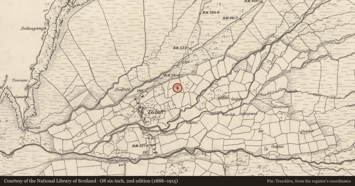 Ordnance Survey six-inch map, 2nd edition (1888–1915) covering the location of Hut site, Baile Na Habha (TC Cill Chuáin), County Kerry, with a pin at the register's coordinates
