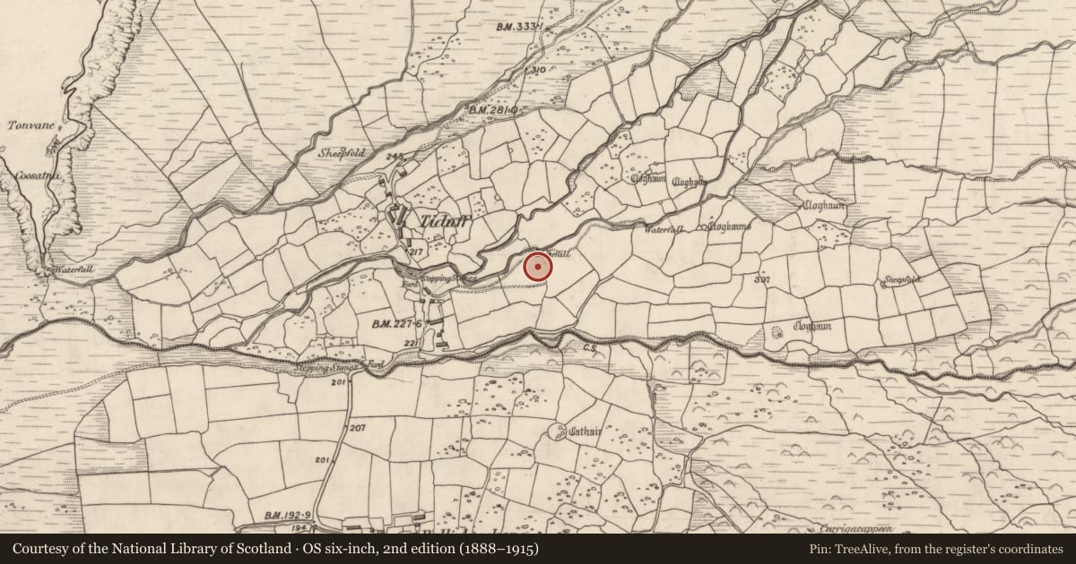 Ordnance Survey six-inch map, 2nd edition (1888–1915) covering the location of Hut site, Baile Na Habha (TC Cill Chuáin), County Kerry, with a pin at the register's coordinates