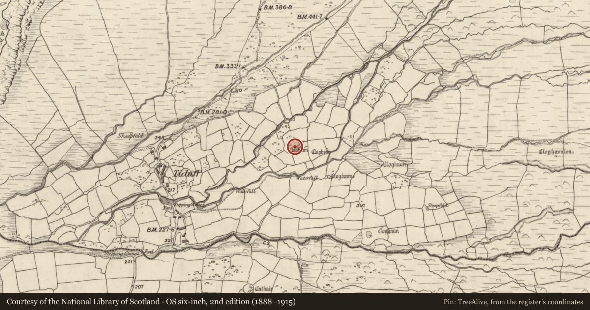 Ordnance Survey six-inch map, 2nd edition (1888–1915) covering the location of Hut site, Baile Na Habha (TC Cill Chuáin), County Kerry, with a pin at the register's coordinates