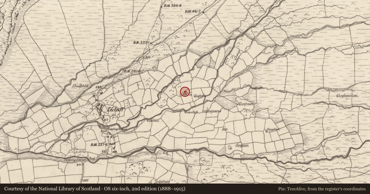 Ordnance Survey six-inch map, 2nd edition (1888–1915) covering the location of Hut site, Baile Na Habha (TC Cill Chuáin), County Kerry, with a pin at the register's coordinates