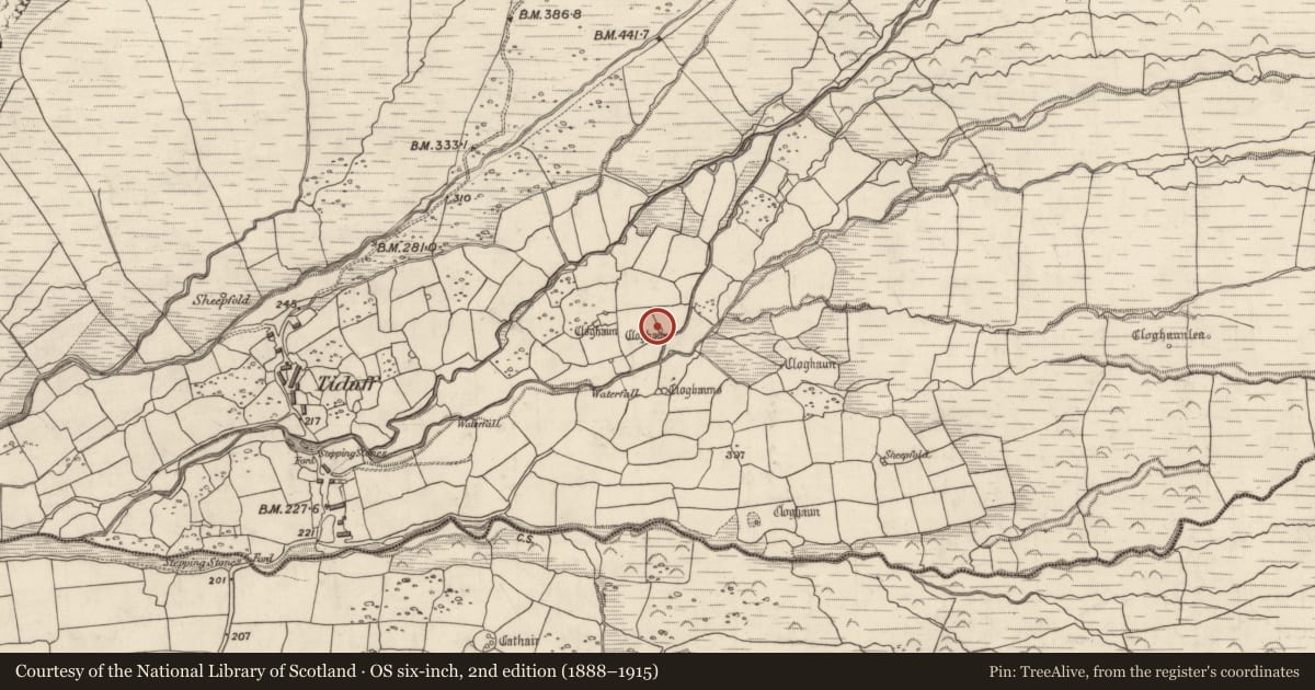 Ordnance Survey six-inch map, 2nd edition (1888–1915) covering the location of Hut site, Baile Na Habha (TC Cill Chuáin), County Kerry, with a pin at the register's coordinates