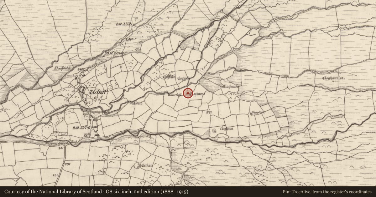 Ordnance Survey six-inch map, 2nd edition (1888–1915) covering the location of Hut site, Baile Na Habha (TC Cill Chuáin), County Kerry, with a pin at the register's coordinates