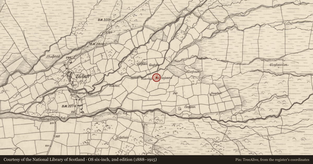 Ordnance Survey six-inch map, 2nd edition (1888–1915) covering the location of Hut site, Baile Na Habha (TC Cill Chuáin), County Kerry, with a pin at the register's coordinates