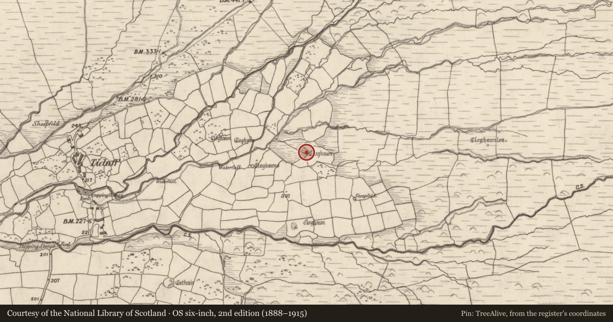 Ordnance Survey six-inch map, 2nd edition (1888–1915) covering the location of Hut site, Baile Na Habha (TC Cill Chuáin), County Kerry, with a pin at the register's coordinates