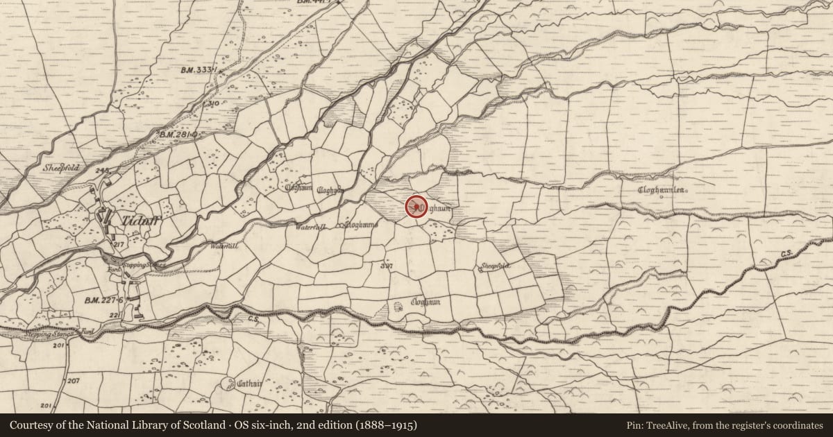 Ordnance Survey six-inch map, 2nd edition (1888–1915) covering the location of Hut site, Baile Na Habha (TC Cill Chuáin), County Kerry, with a pin at the register's coordinates