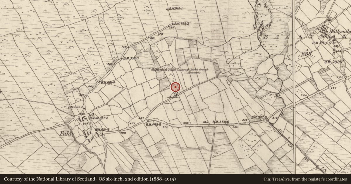 Ordnance Survey six-inch map, 2nd edition (1888–1915) covering the location of Cross-inscribed stone, An Fhaiche, County Kerry, with a pin at the register's coordinates