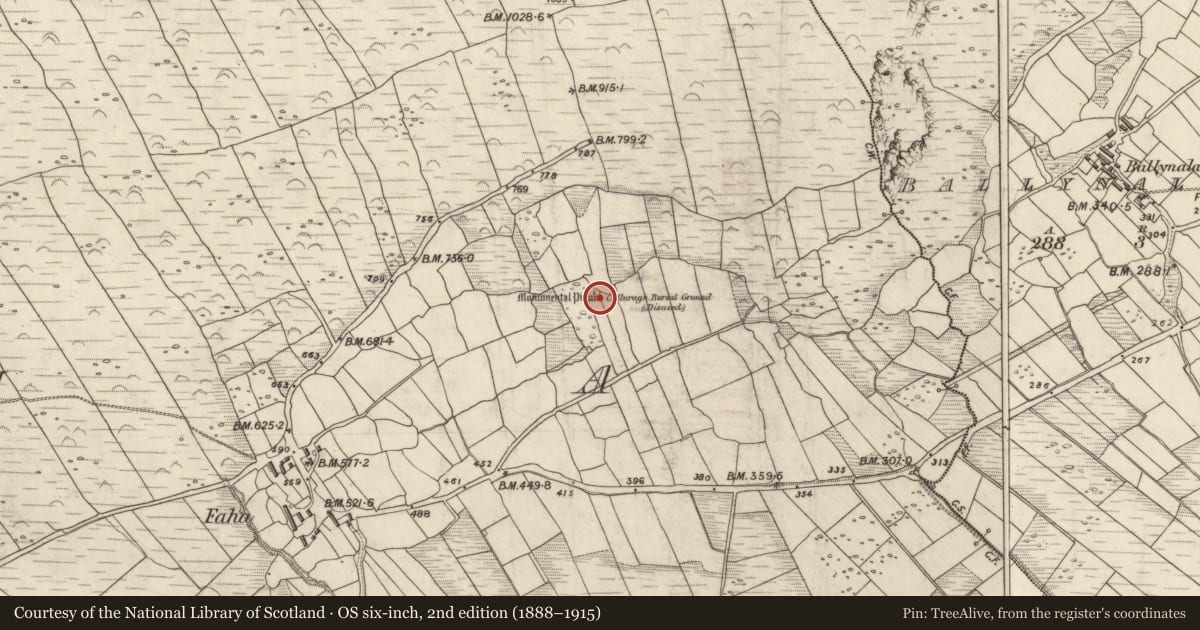 Ordnance Survey six-inch map, 2nd edition (1888–1915) covering the location of Cross-slab, An Fhaiche, County Kerry, with a pin at the register's coordinates