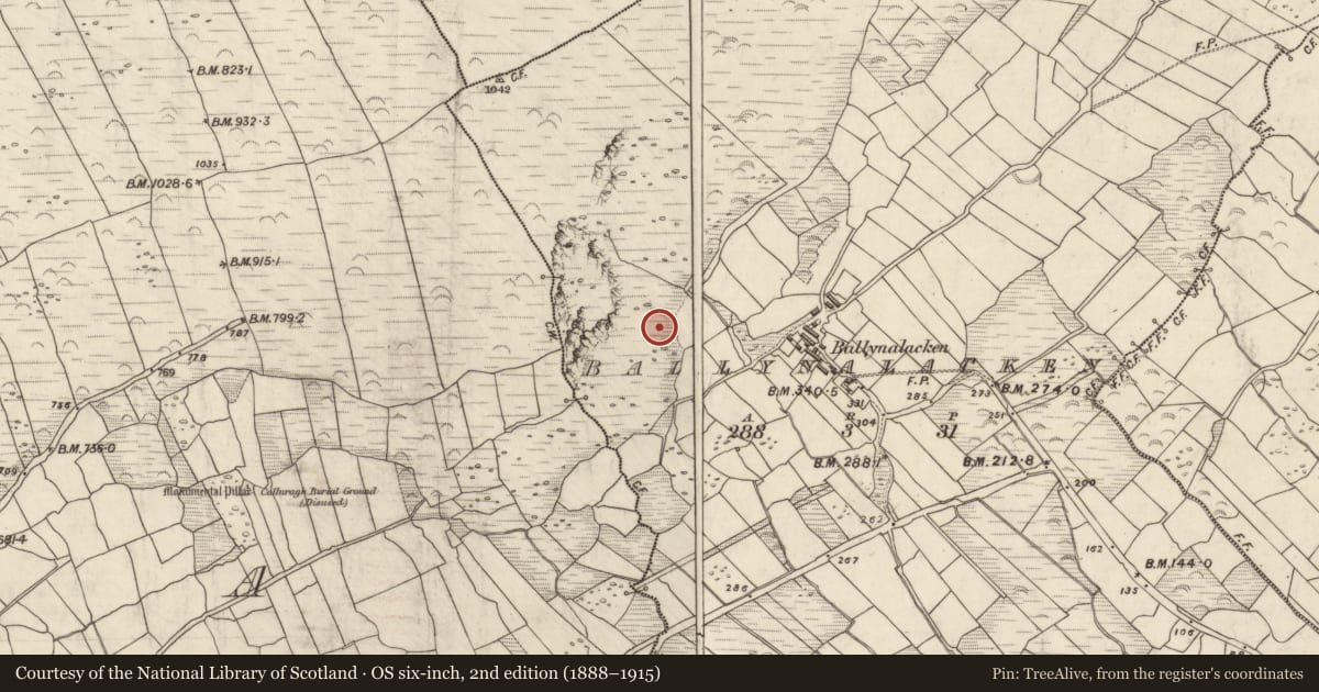 Ordnance Survey six-inch map, 2nd edition (1888–1915) covering the location of Hut site, Baile Na Leacan, County Kerry, with a pin at the register's coordinates