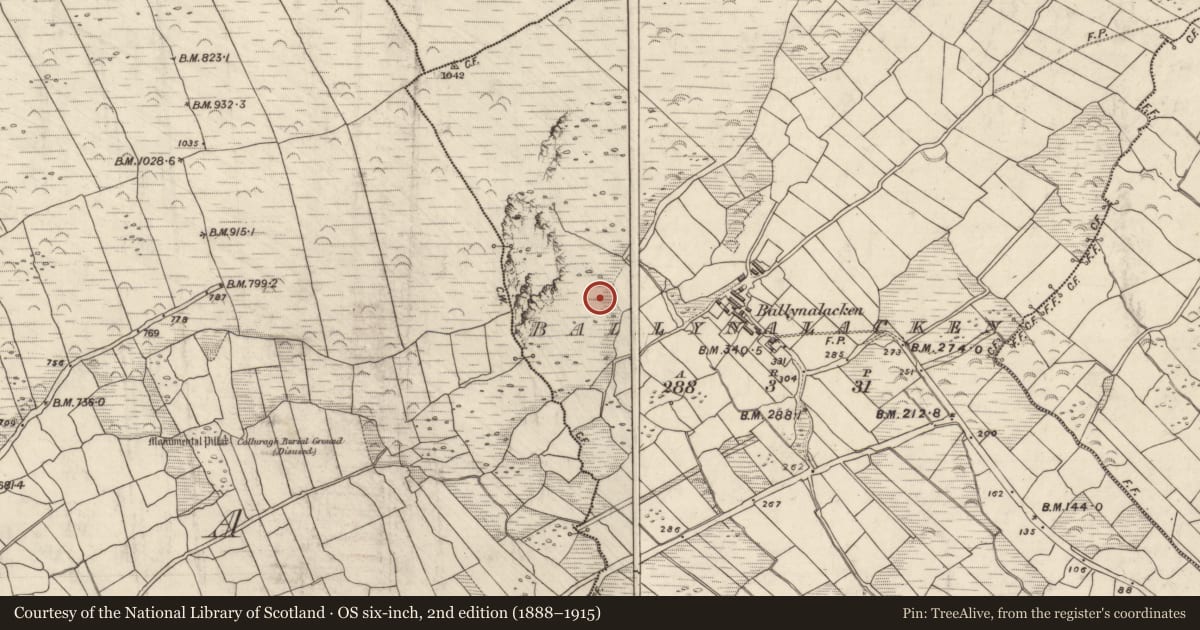 Ordnance Survey six-inch map, 2nd edition (1888–1915) covering the location of Cross-inscribed stone, Baile Na Leacan, County Kerry, with a pin at the register's coordinates