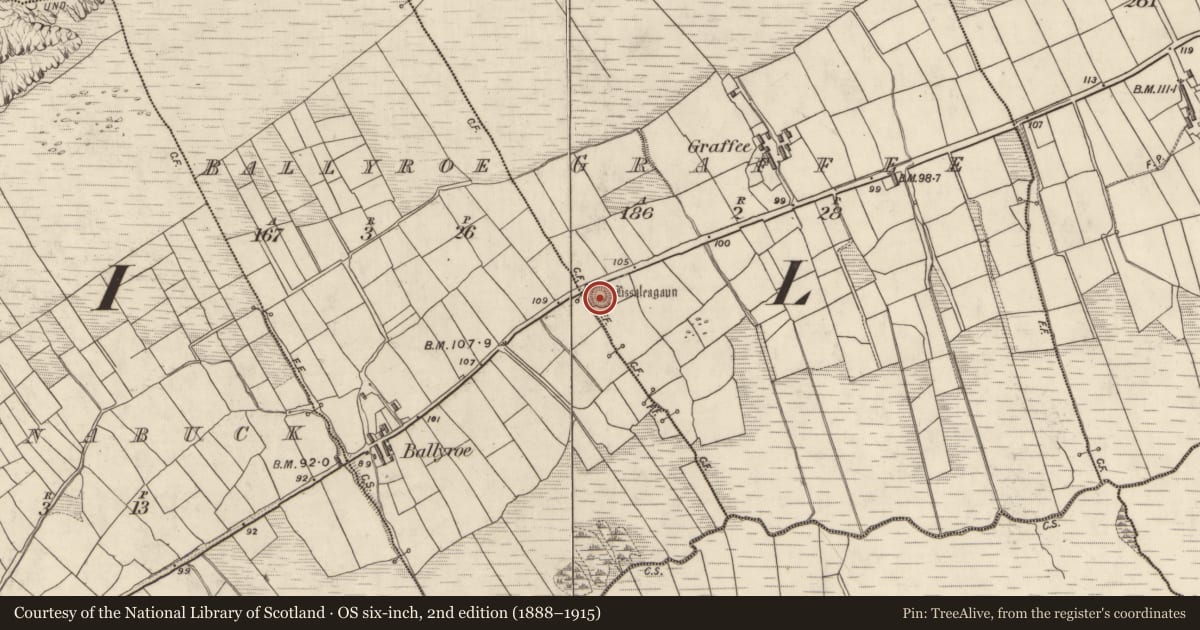 Ordnance Survey six-inch map, 2nd edition (1888–1915) covering the location of Ringfort - rath, Na Grafaí, County Kerry, with a pin at the register's coordinates