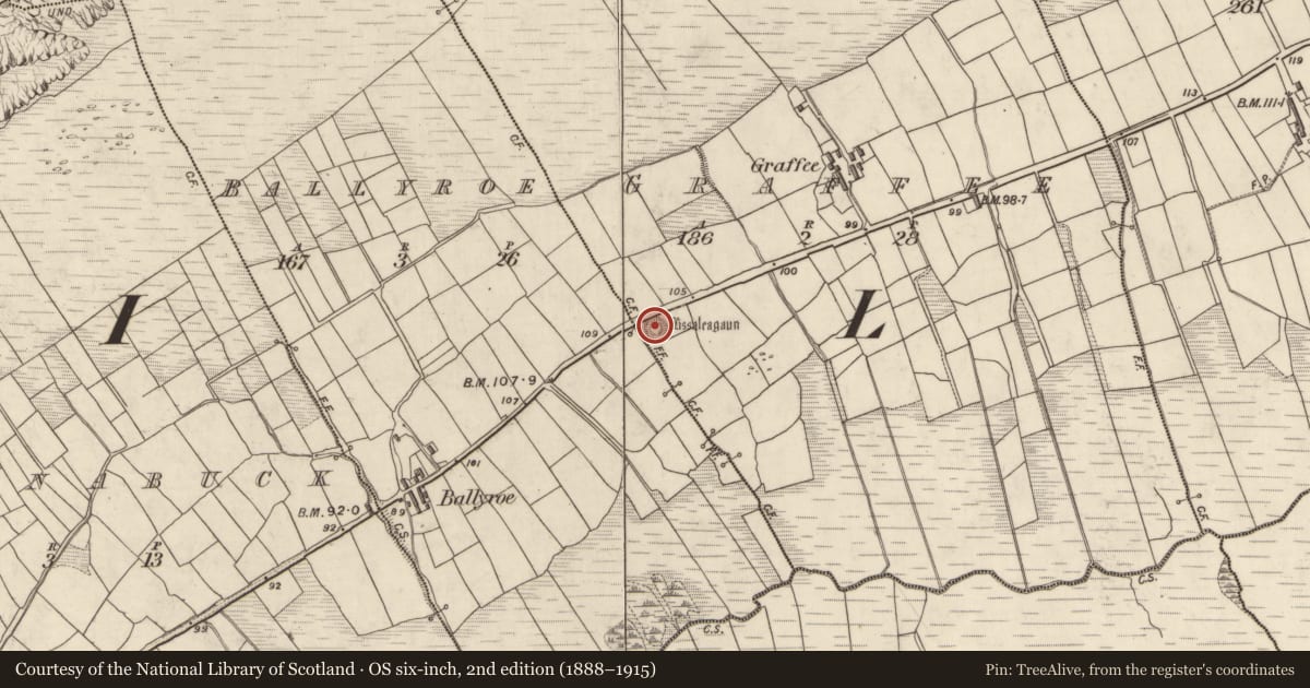Ordnance Survey six-inch map, 2nd edition (1888–1915) covering the location of House - indeterminate date, Na Grafaí, County Kerry, with a pin at the register's coordinates