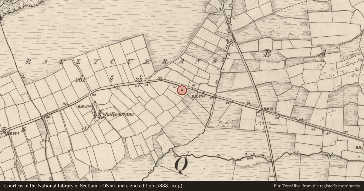 Ordnance Survey six-inch map, 2nd edition (1888–1915) covering the location of Hut site, Baile Uí Chorráin, County Kerry, with a pin at the register's coordinates