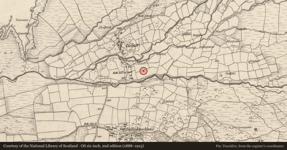 Ordnance Survey six-inch map, 2nd edition (1888–1915) covering the location of Building, Baile Na Habha (TC Cill Chuáin), County Kerry, with a pin at the register's coordinates