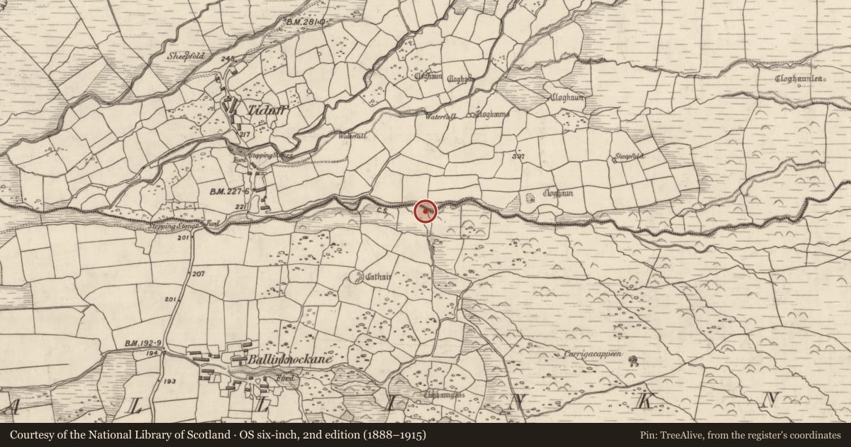 Ordnance Survey six-inch map, 2nd edition (1888–1915) covering the location of Hut site, Baile An Chnocáin (TC Cill Chuain), County Kerry, with a pin at the register's coordinates
