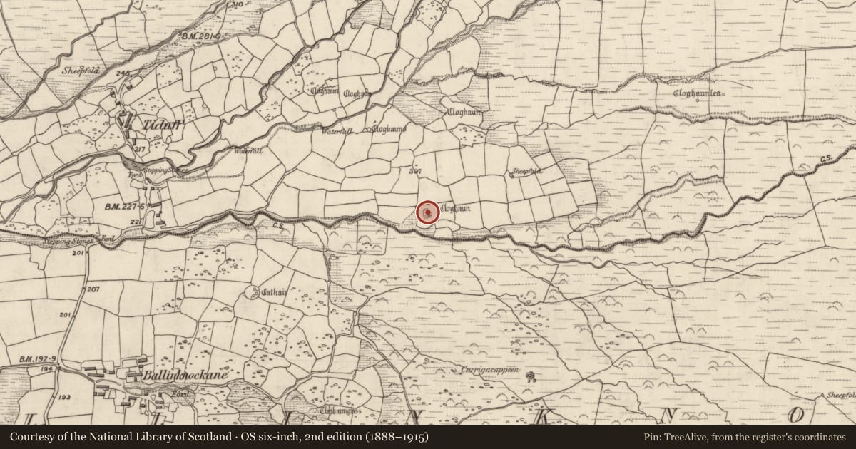 Ordnance Survey six-inch map, 2nd edition (1888–1915) covering the location of Hut site, Baile Na Habha (TC Cill Chuáin), County Kerry, with a pin at the register's coordinates