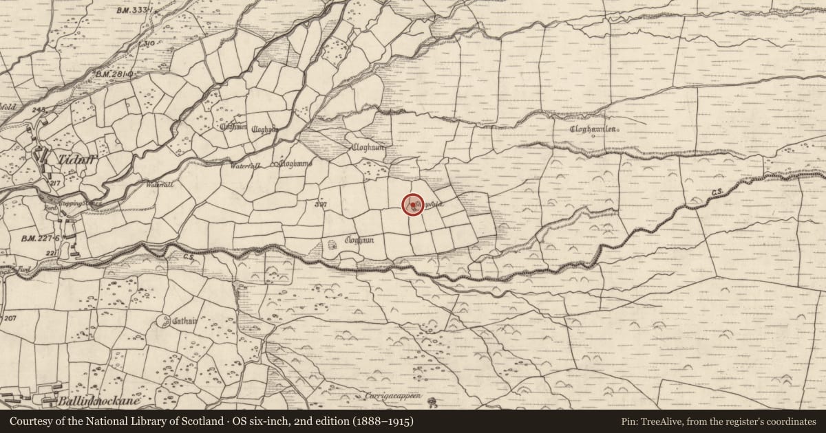 Ordnance Survey six-inch map, 2nd edition (1888–1915) covering the location of Hut site, Baile Na Habha (TC Cill Chuáin), County Kerry, with a pin at the register's coordinates