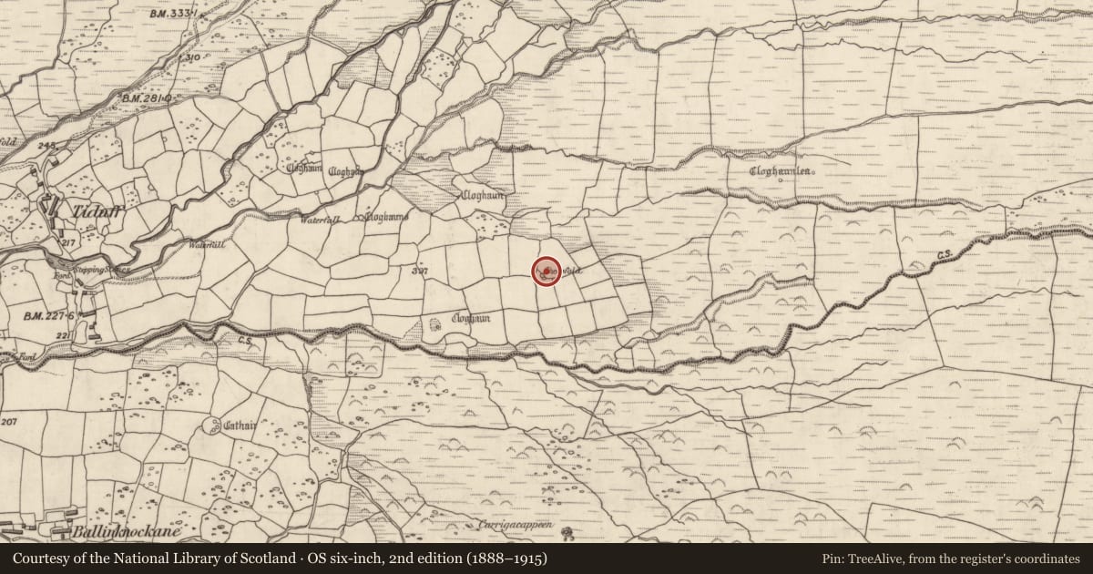 Ordnance Survey six-inch map, 2nd edition (1888–1915) covering the location of Souterrain, Baile Na Habha (TC Cill Chuáin), County Kerry, with a pin at the register's coordinates